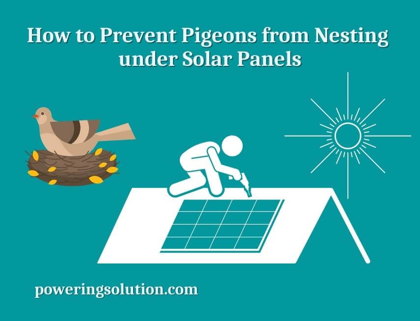 how to prevent pigeons from nesting under solar panels