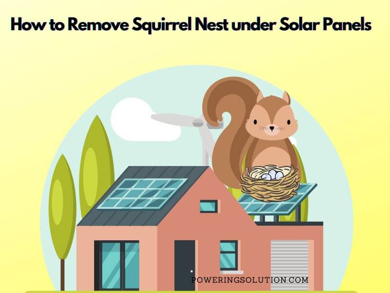 how to remove squirrel nest under solar panels