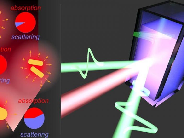 What Converts Energy Into Light Energy? (Explained With Science ...